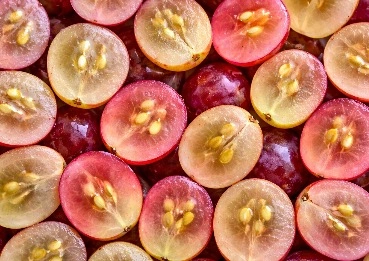 resveratrol extract