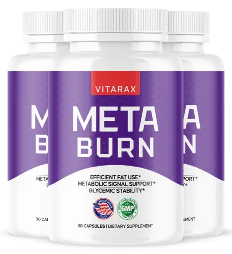 MetaBurn overview